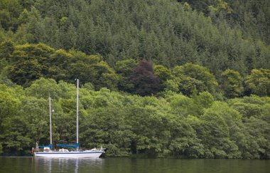 Caledonian canal yelkenli ve İskoçya'da orman ile