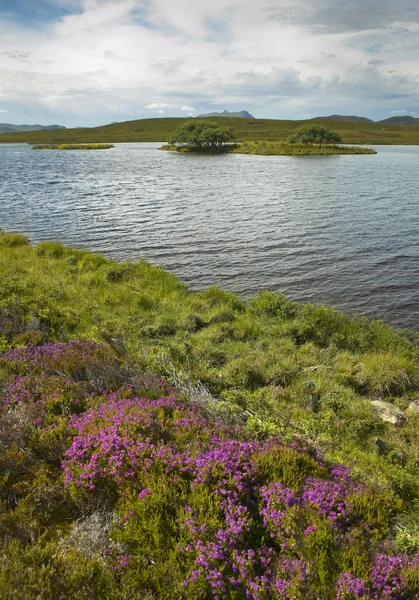 Paisaje escocés con páramos y lago. Highlands. Escocia —  Fotos de Stock