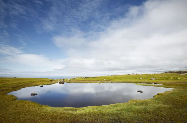 Scottish coastline landscape in Shetland islands. Scotland. UK — Stock Photo, Image