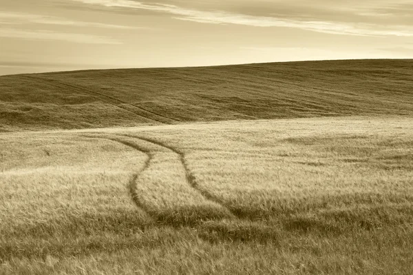 Scottish countryside landscape in sepia tone. Scotland. UK