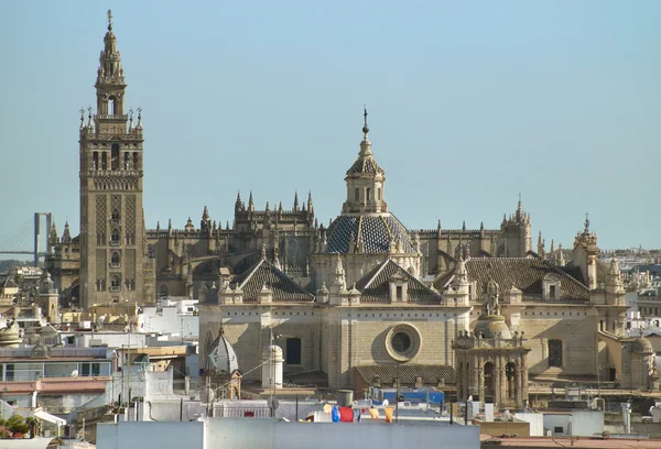 Sevillas katedral och klocktornet La Giralda i Sevilla. Spanien — Stockfoto