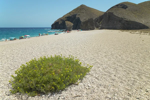 Středozemního moře oblázková pláž Almeria, Andalusie, Španělsko — Stock fotografie