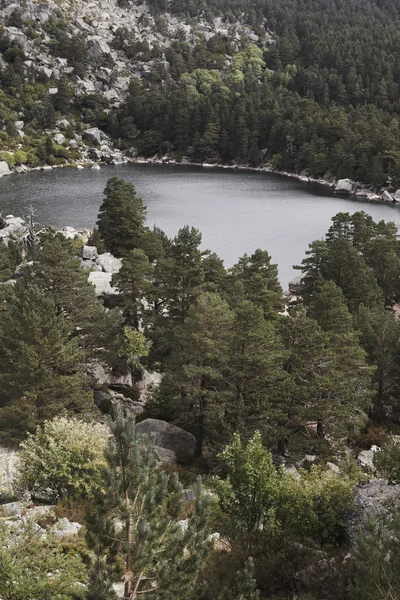 Paisaje con lago y bosque de pinos en España. Laguna Negra —  Fotos de Stock