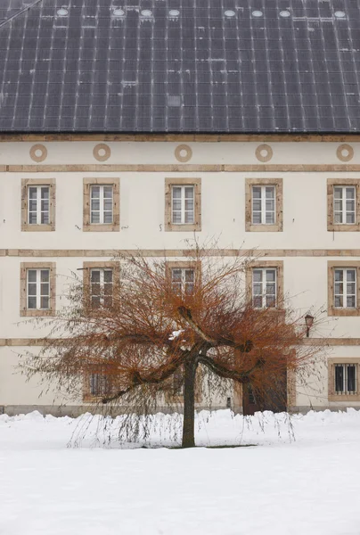 Paisagem de inverno com neve, fachada de edifício velho e árvore. Espanha — Fotografia de Stock