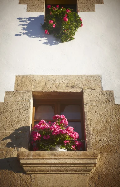 Traditionelle Hausfassade mit Fenstern und rosa Blumen. navarra, — Stockfoto