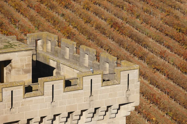 Античный замок и виноградник в Олите, Наварра. Испания — стоковое фото