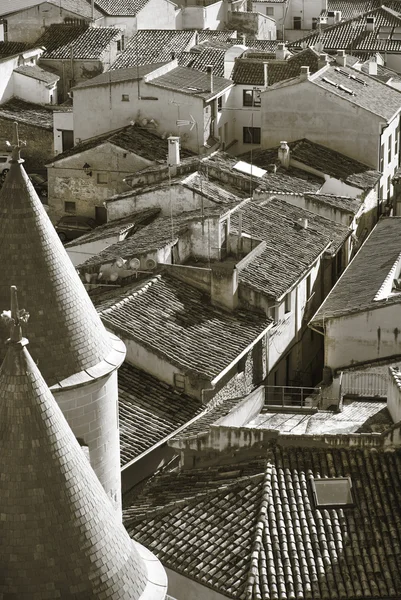 Ländliches Dorf aus Oliven in Navarra. Sepiatonus. Spanien — Stockfoto