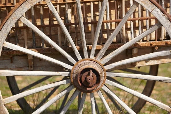 Old rusty cart wheel detail with green background — Stock Photo, Image