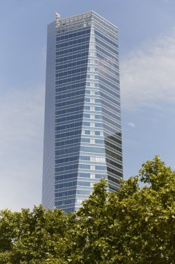 Modern building metallic glass facade and trees with moon rising