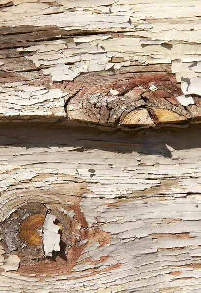 Schalen van verf over de houten oppervlak van een warme kleur die buiten — Stockfoto