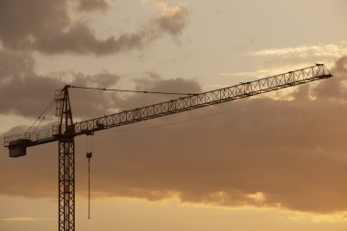 Sıcak sesi alacakaranlıkta vinç