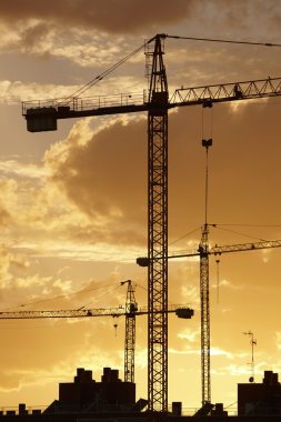 Sıcak sesi alacakaranlıkta Vinçler