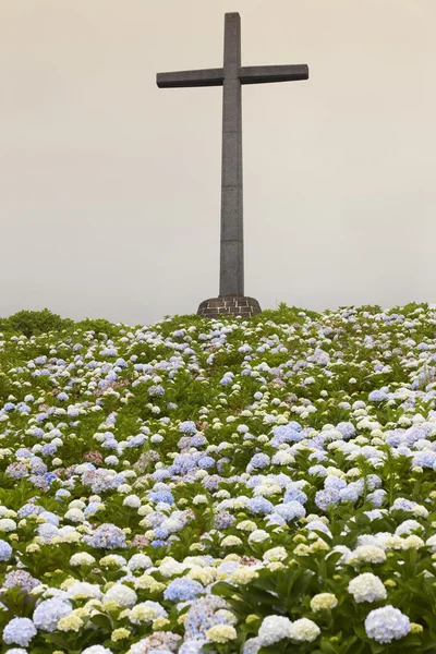 Cruz católica e jardim de hortênsias em um dia nublado — Fotografia de Stock