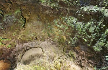 Volkanik Mağarası Galerisi Terceira Adası. Azores. Algar yapmak Carva