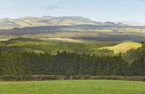 Azoren landschap met weiden, bossen en bergen in Terceira — Stockfoto