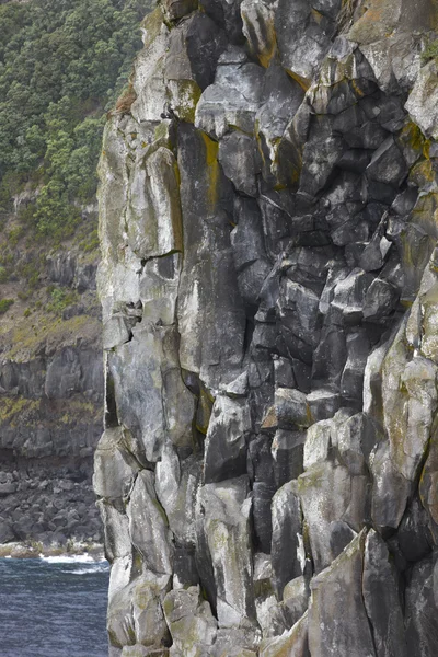 Basalt klif in de kust van de eiland Terceira. Azoren-archipel. — Stockfoto