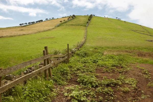 Paysage vert des Açores avec prairies et clôtures rocheuses. Sao Jorge — Photo