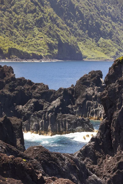 Azores volcanic coastline in Sao Jorge. Faja do Ouvidor. Portuga — Stockfoto