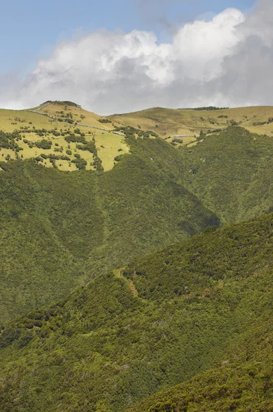 牧草地とサン Jorge 山中アゾレス諸島の風景。Portug ロイヤリティフリーのストック画像