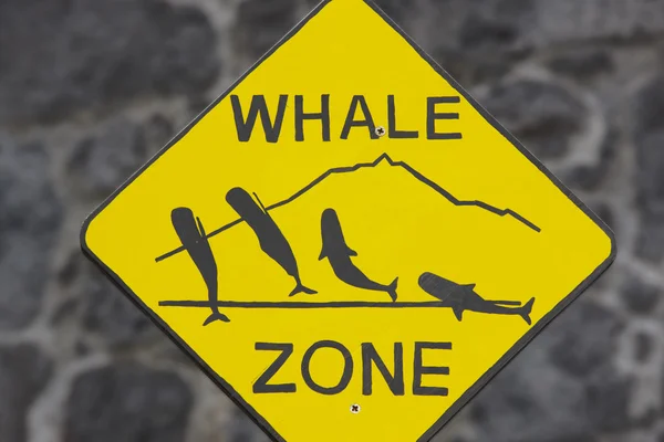 Whale watching signpost and blurred background in Azores. Portug — Stock Photo, Image