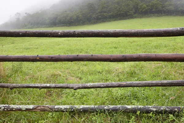 Foggy green landscape with wooden fence in Azores archipelago. P — Stock Photo, Image