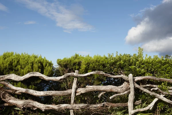 Valla de madera rústica con vegetación verde cielo azul en Azores — Foto de Stock