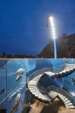 Kartagena şehir merkezinde deniz grafiti duvarı. Murcia, İspanya