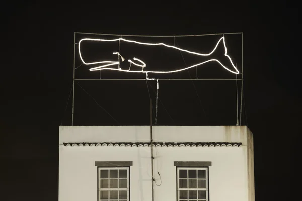 Luz de neón de ballena espermática sobre un edificio en Azores. Portugal — Foto de Stock