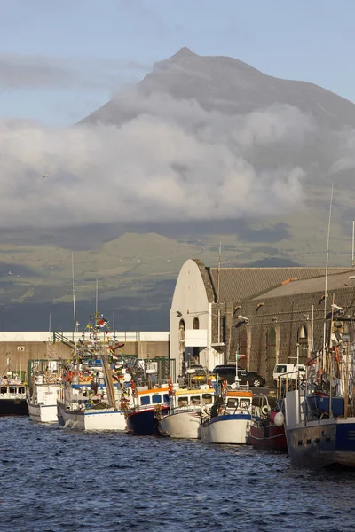 Fiskehamnen i Horta. Faial island. Pico peak. Azorerna. Portug — Stockfoto