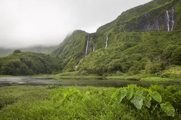 Flores Island Azores manzara. Pozo da Alagoin şelaleler — Stok fotoğraf