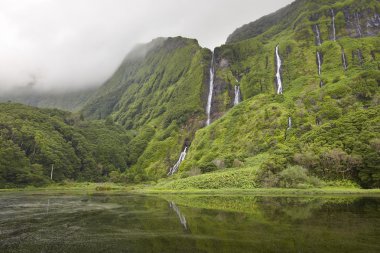 Flores Island Azores manzara. Pozo da Alagoin şelaleler