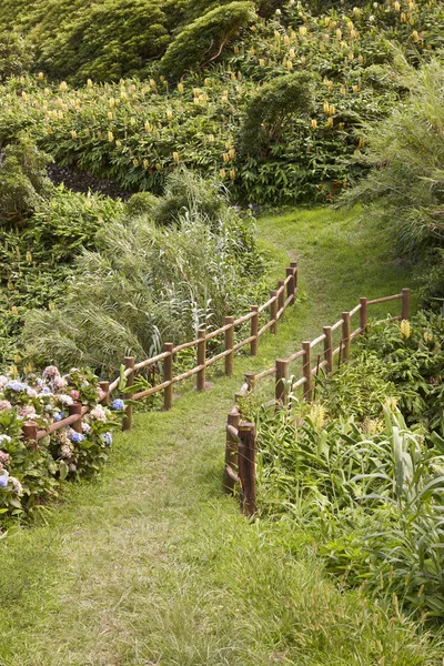 Zielony szlak otoczony bujną roślinnością w Flores, Azory jest — Zdjęcie stockowe