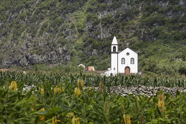 Traditionella Azorerna kapell omgivet av natur i Flores island. — Stockfoto