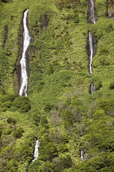 Paisaje de las Azores en la isla Flores. Cascadas en Pozo da Alagoin — Foto de Stock