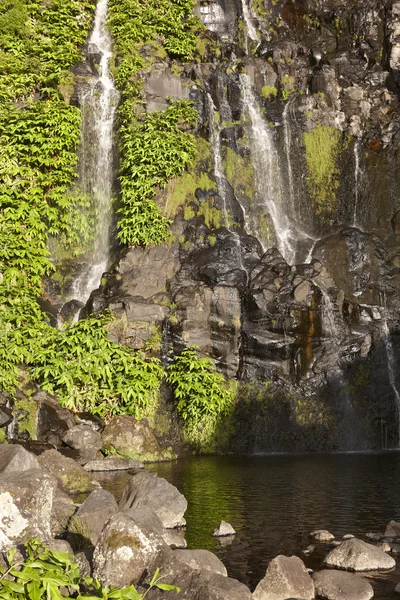 Cascada y piscina en la isla de Flores, Azores. Poco do Bacalhau — Foto de Stock