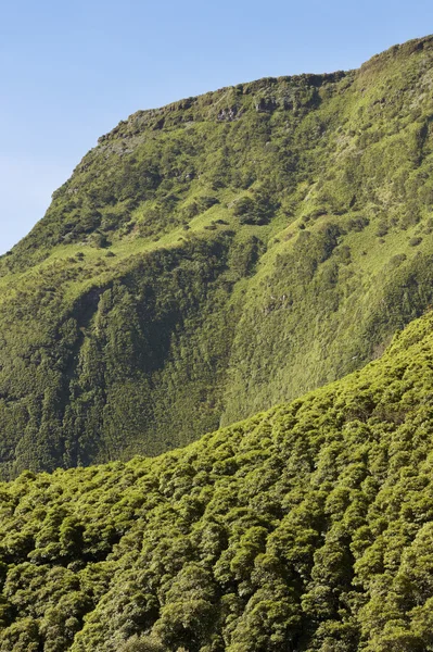 Azoren landschap in Flores eiland. Weelderige groene vegetatie. Portug — Stockfoto