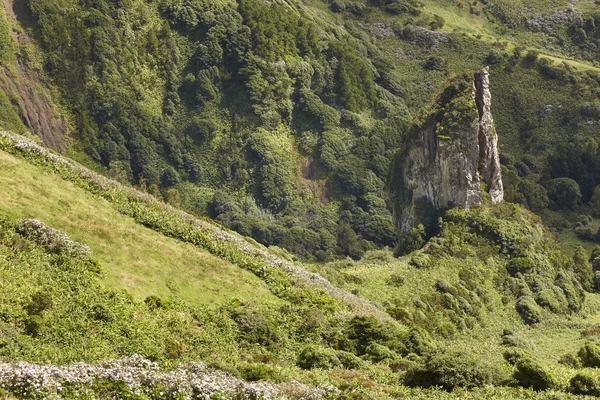 Azor, yatay, rock ve Flores Island yeşil bitki örtüsü — Stok fotoğraf