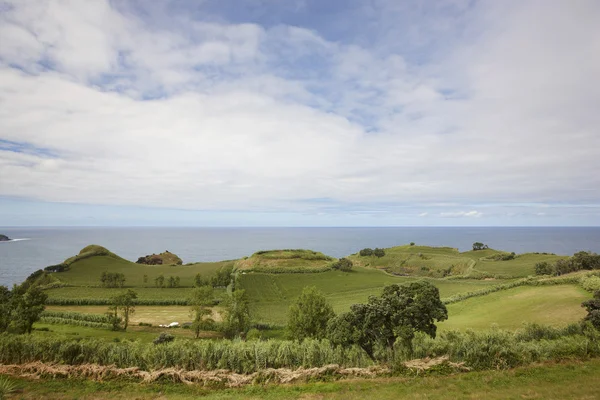 Paysage vert du littoral rural des Açores sur l'île de Flores. Portuga — Photo