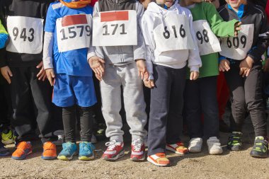 Atletik çocuklar bir çapraz ülke yarış başlamak için hazır. Açık havada