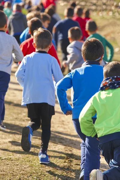 Güneşli bir günde çalışan pek çok atletik çocuk. Açık devre