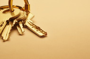 Boş bir arka plan üzerinde altın ses tonuyla tuşlarıyla Anahtarlık
