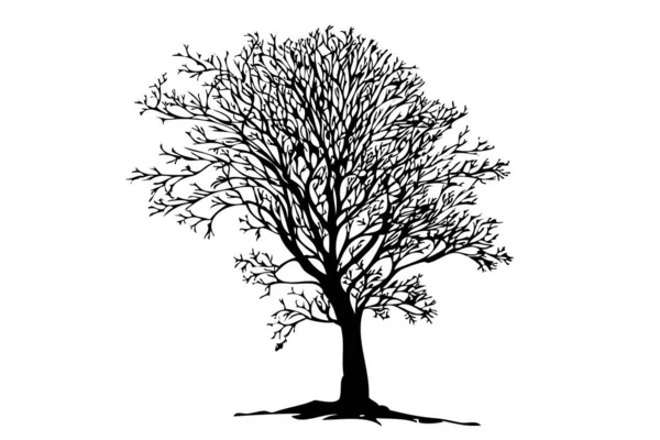 Desenho Manual Vetor Desenho Árvore Morta Vetores De Stock Royalty-Free