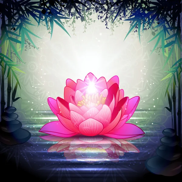 Lotus Flowers in a Zen Garden — Stock Vector