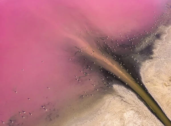 Вид Воздуха Розовое Озеро Птичьей Колонией — стоковое фото