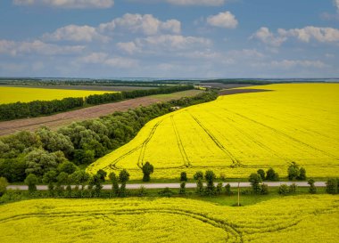 Tecavüze uğrayan çiçeklenme alanının havadan görünüşü; tarım arazisinin arka planı