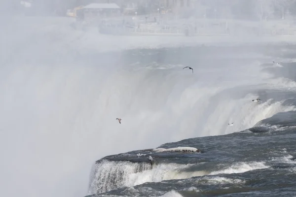 Niagara Şelalesi — Stok fotoğraf