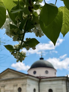 Kilise katedrali eflatun mimarisi