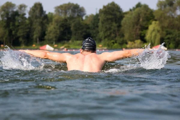 Nageur papillon ou dauphin course de natation — Photo