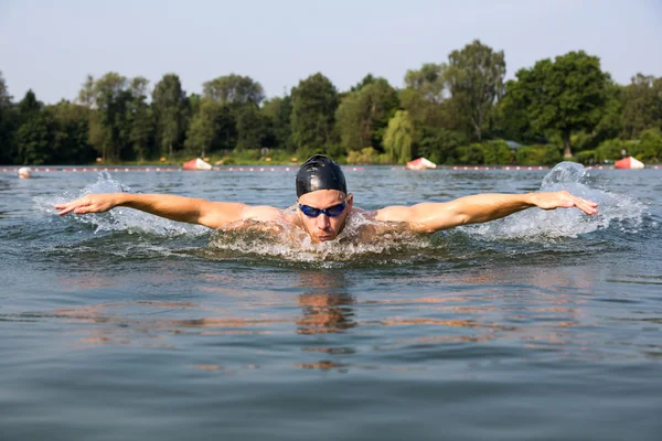 Nageur papillon ou dauphin course de natation — Photo