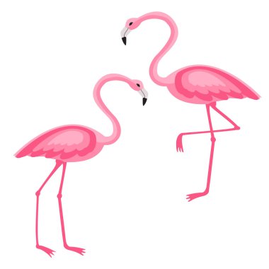 Pembe Flamingo izole edilmiş vektör çizimi. Beyaz arkaplan.